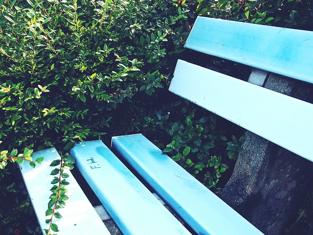 足球转会市场最新动态及趋势